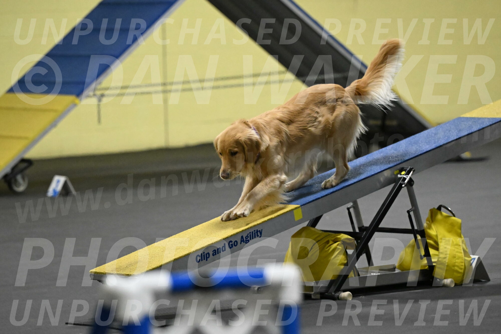 Holli-Likevich-03324