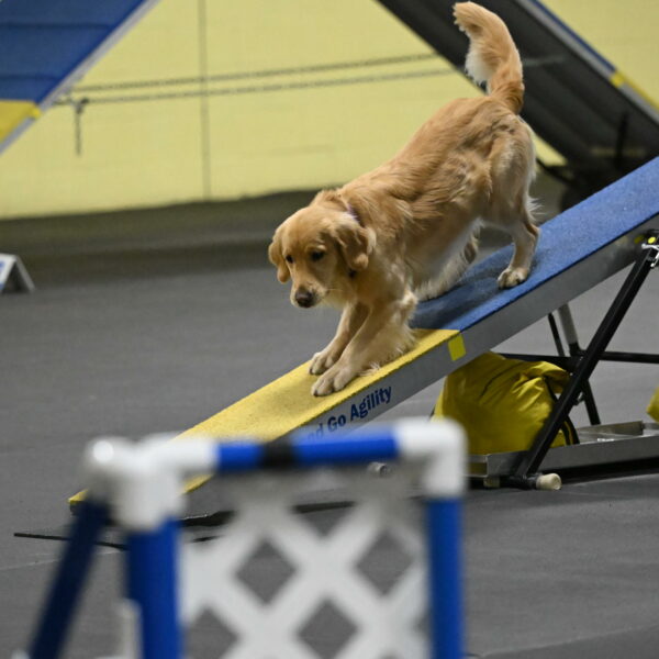 Holli-Likevich-03326