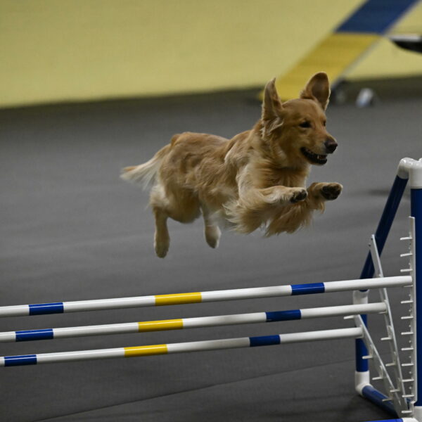 Holli-Likevich-03336