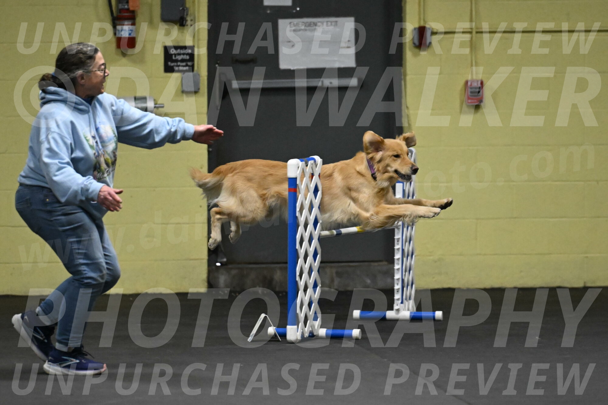 Holli-Likevich-03348