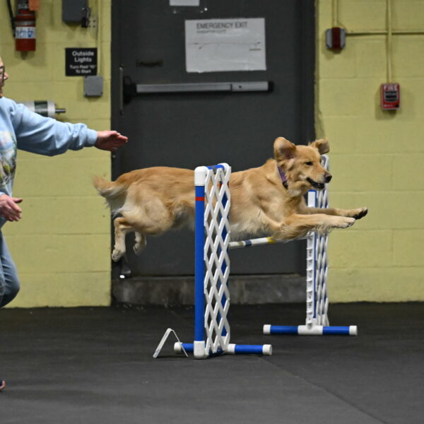 Holli-Likevich-03348