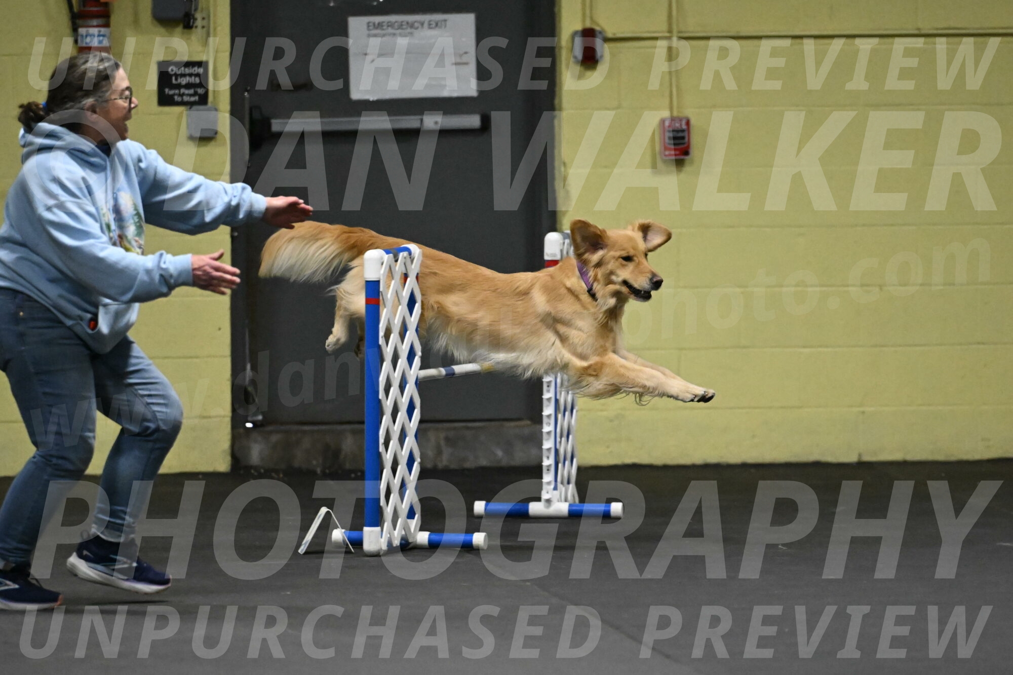 Holli-Likevich-03349