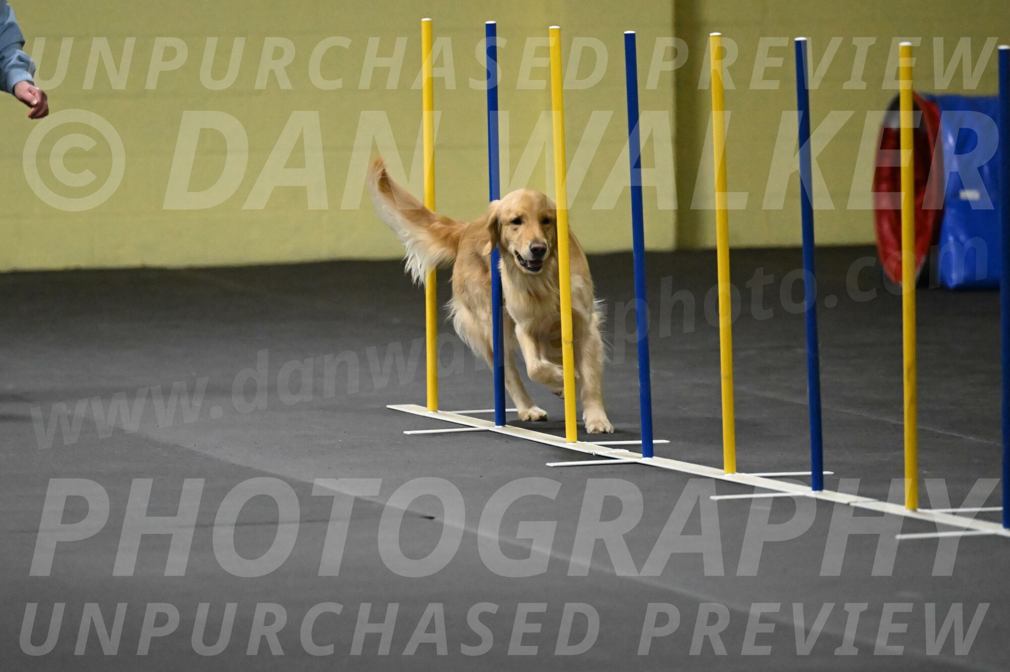 Holli-Likevich-03354