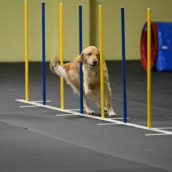 Holli-Likevich-03362