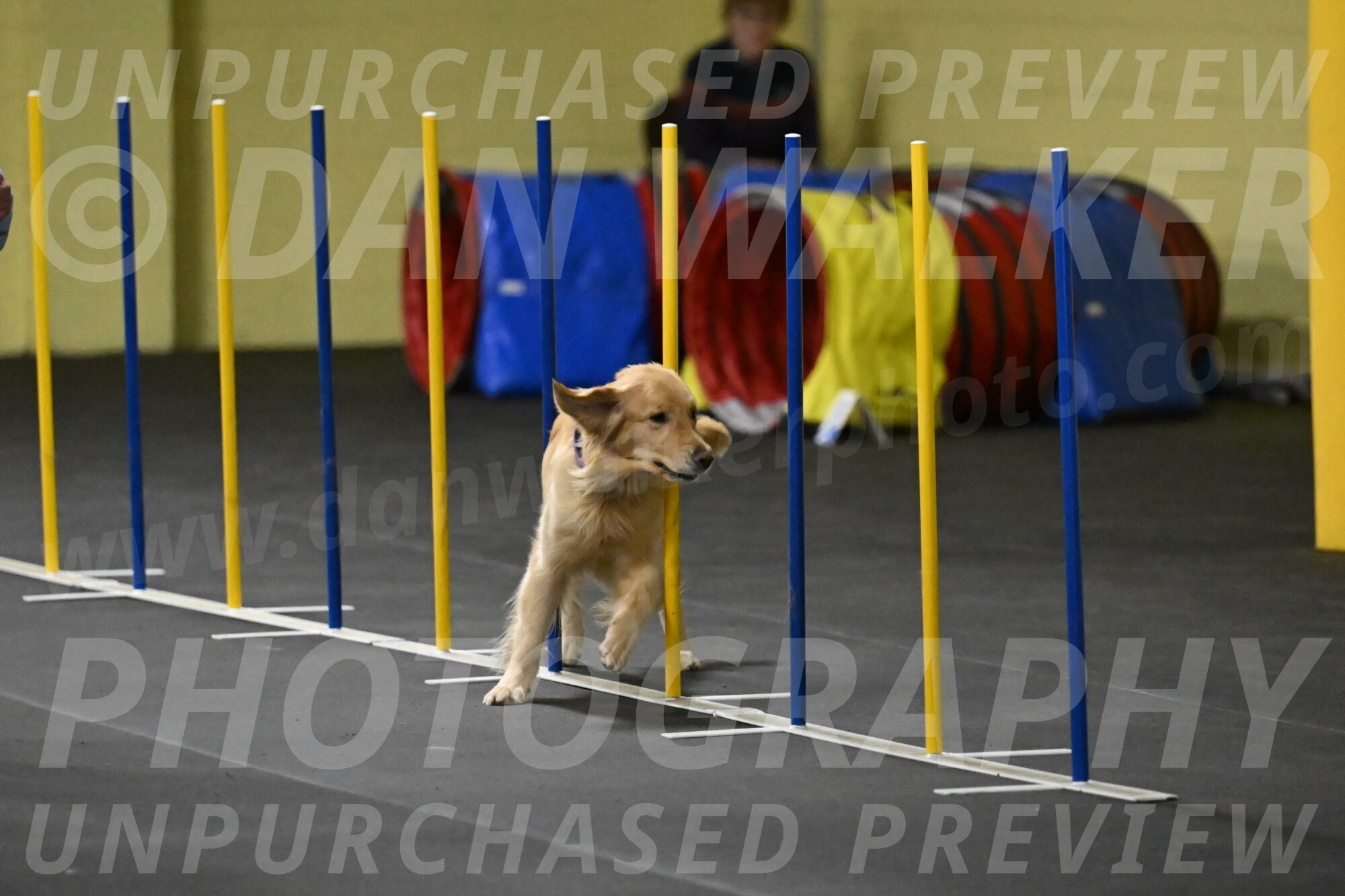 Holli-Likevich-03380