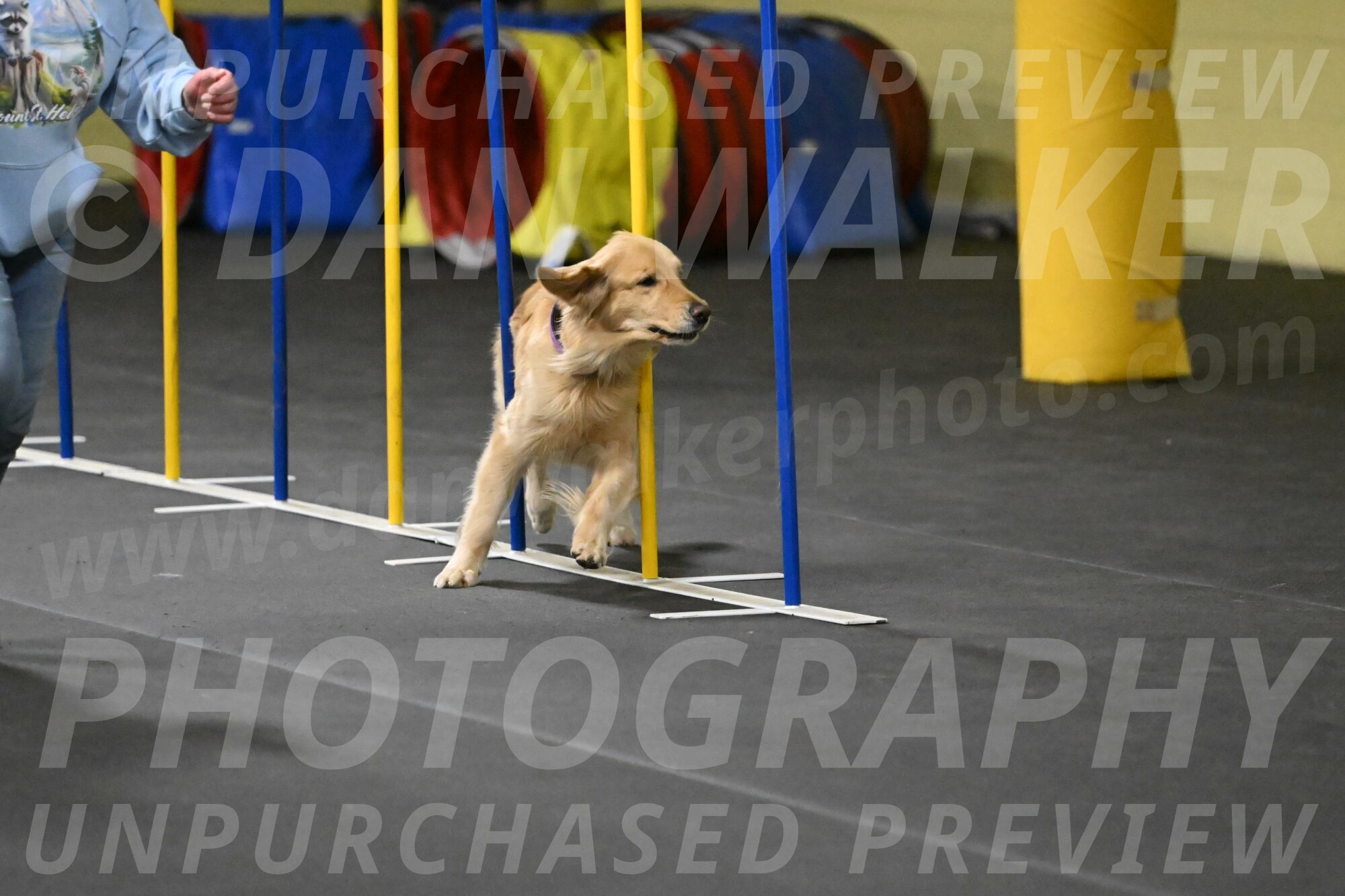 Holli-Likevich-03388