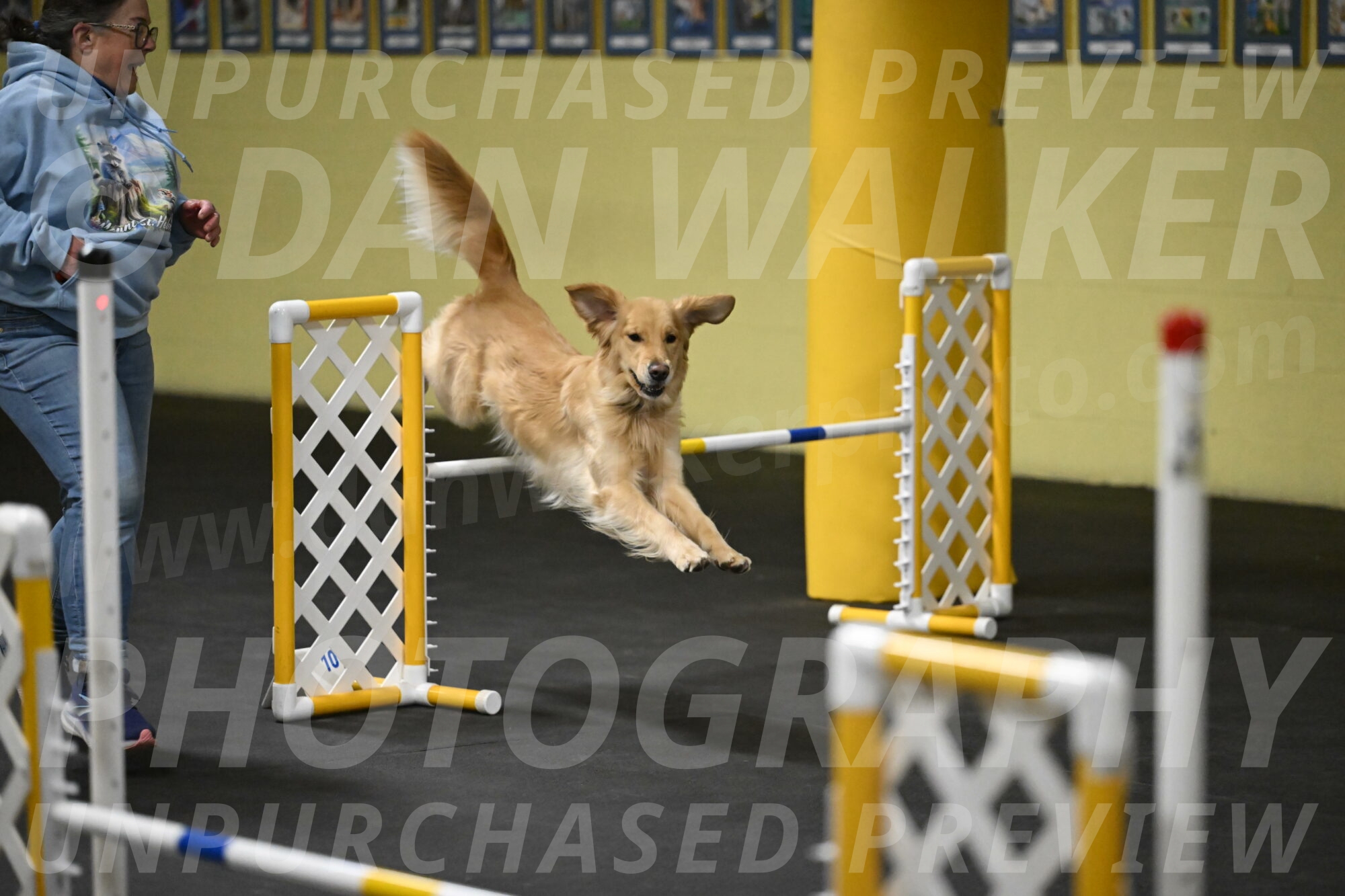 Holli-Likevich-03391