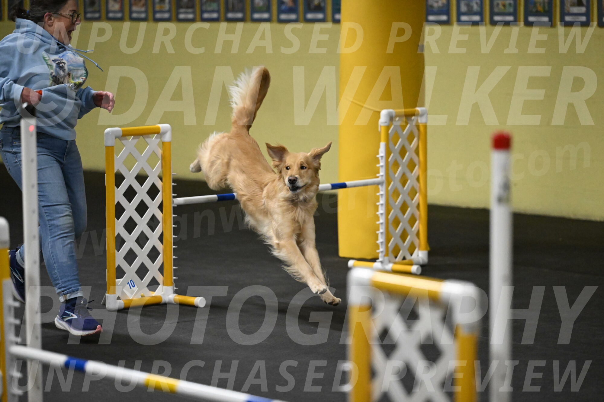 Holli-Likevich-03392