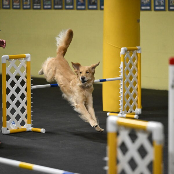 Holli-Likevich-03392