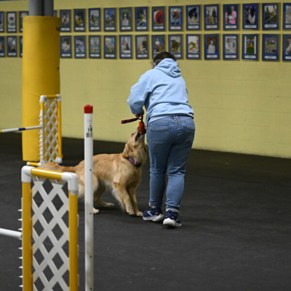 Holli-Likevich-03409