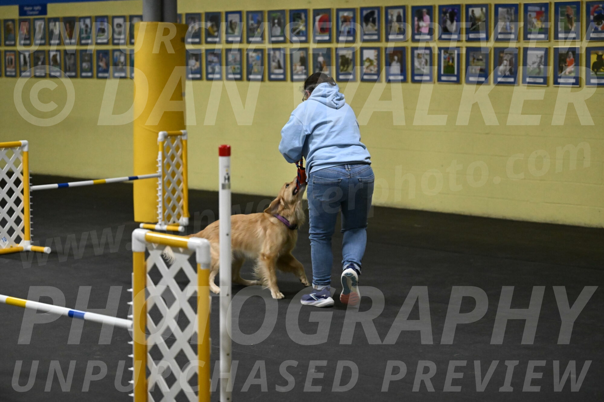 Holli-Likevich-03410