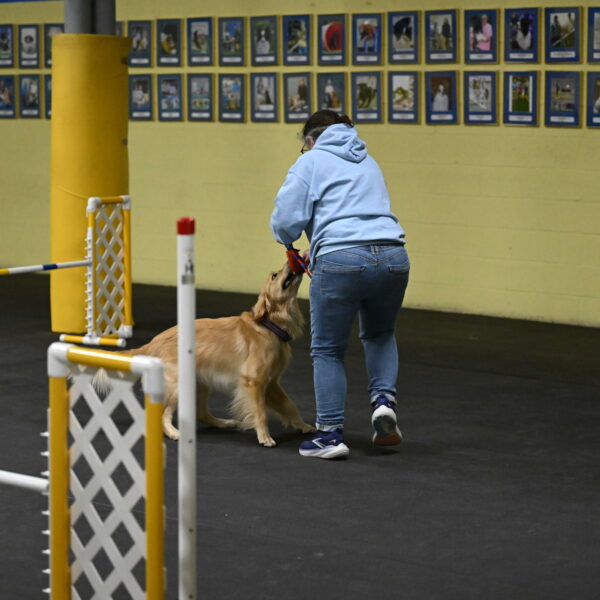 Holli-Likevich-03411