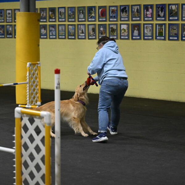 Holli-Likevich-03413