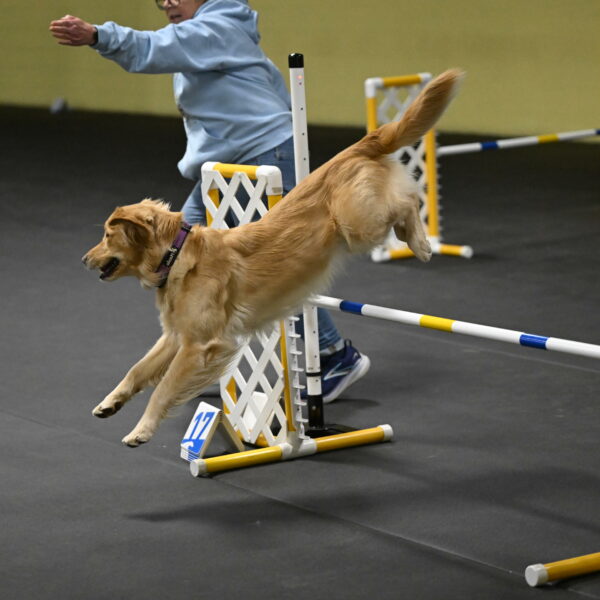 Holli-Likevich-03438