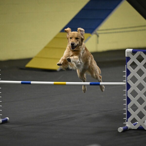 Holli-Likevich-03447