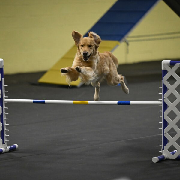 Holli-Likevich-03448