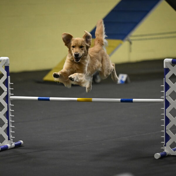 Holli-Likevich-03449