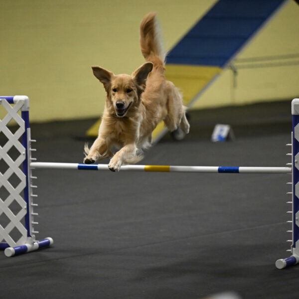 Holli-Likevich-03450