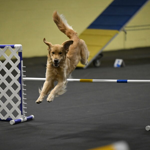 Holli-Likevich-03451