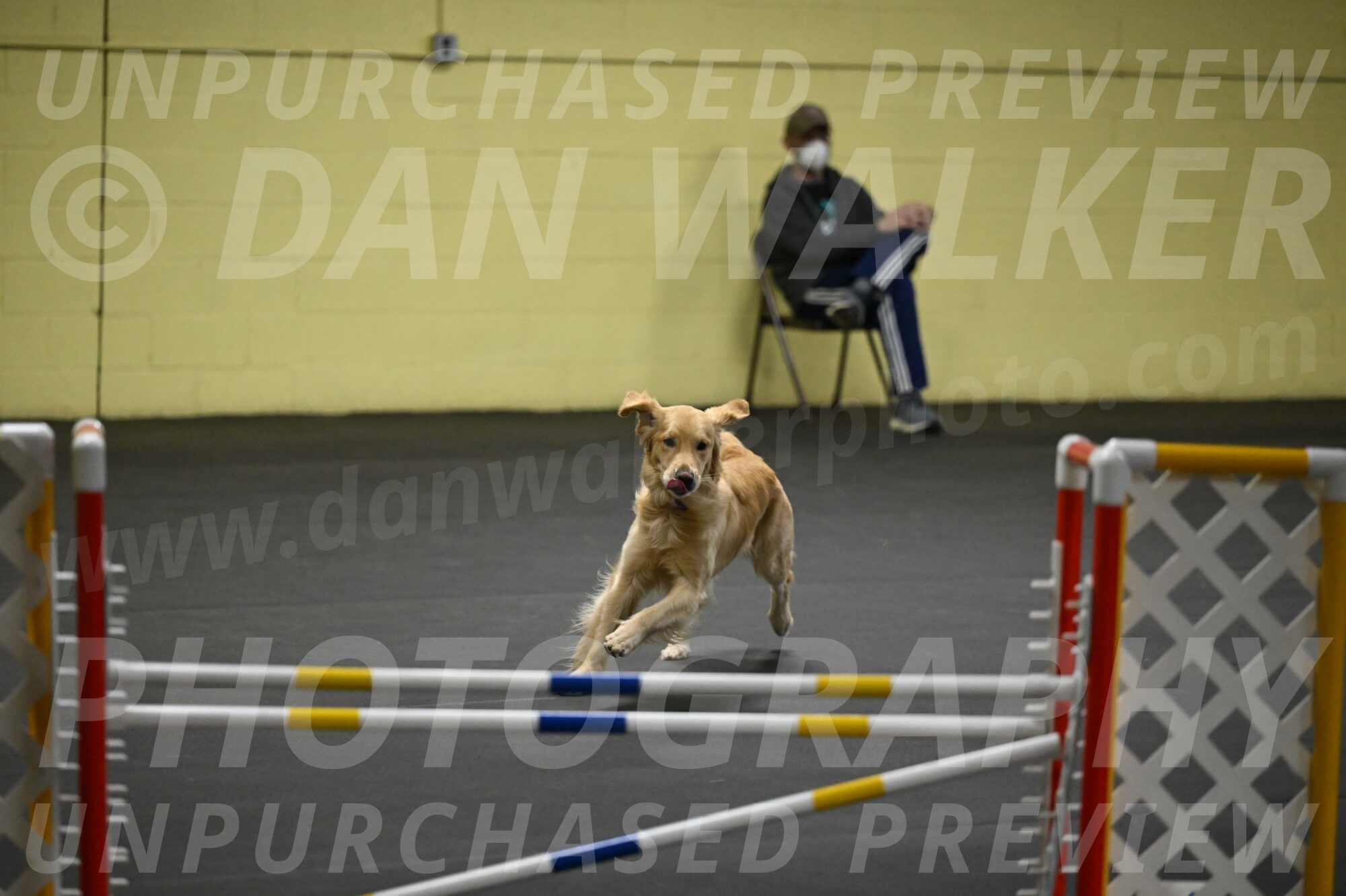 Holli-Likevich-03469