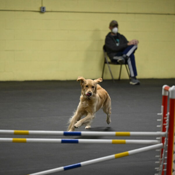 Holli-Likevich-03469