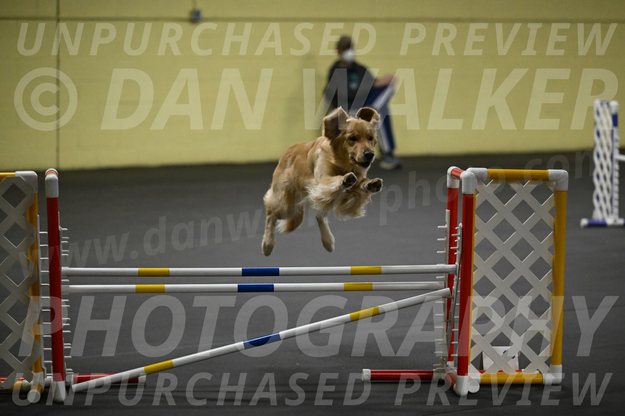 Holli-Likevich-03472