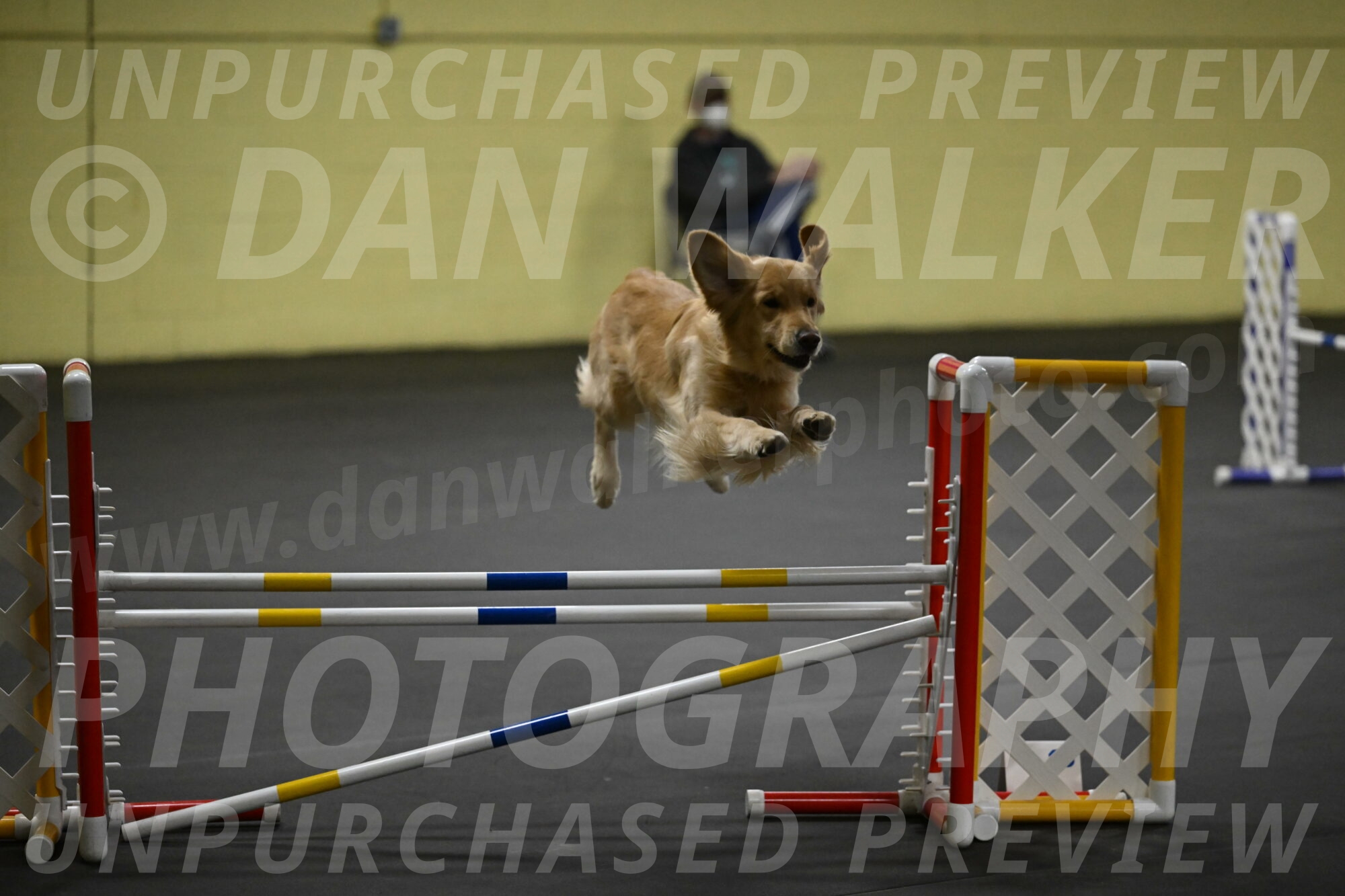 Holli-Likevich-03473