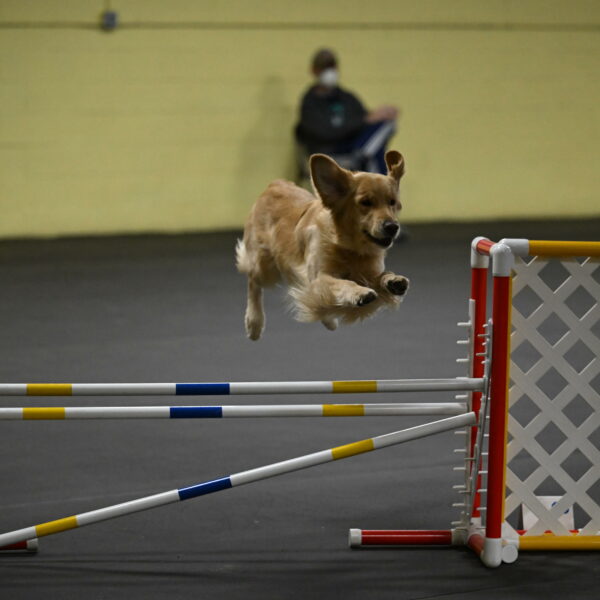 Holli-Likevich-03473