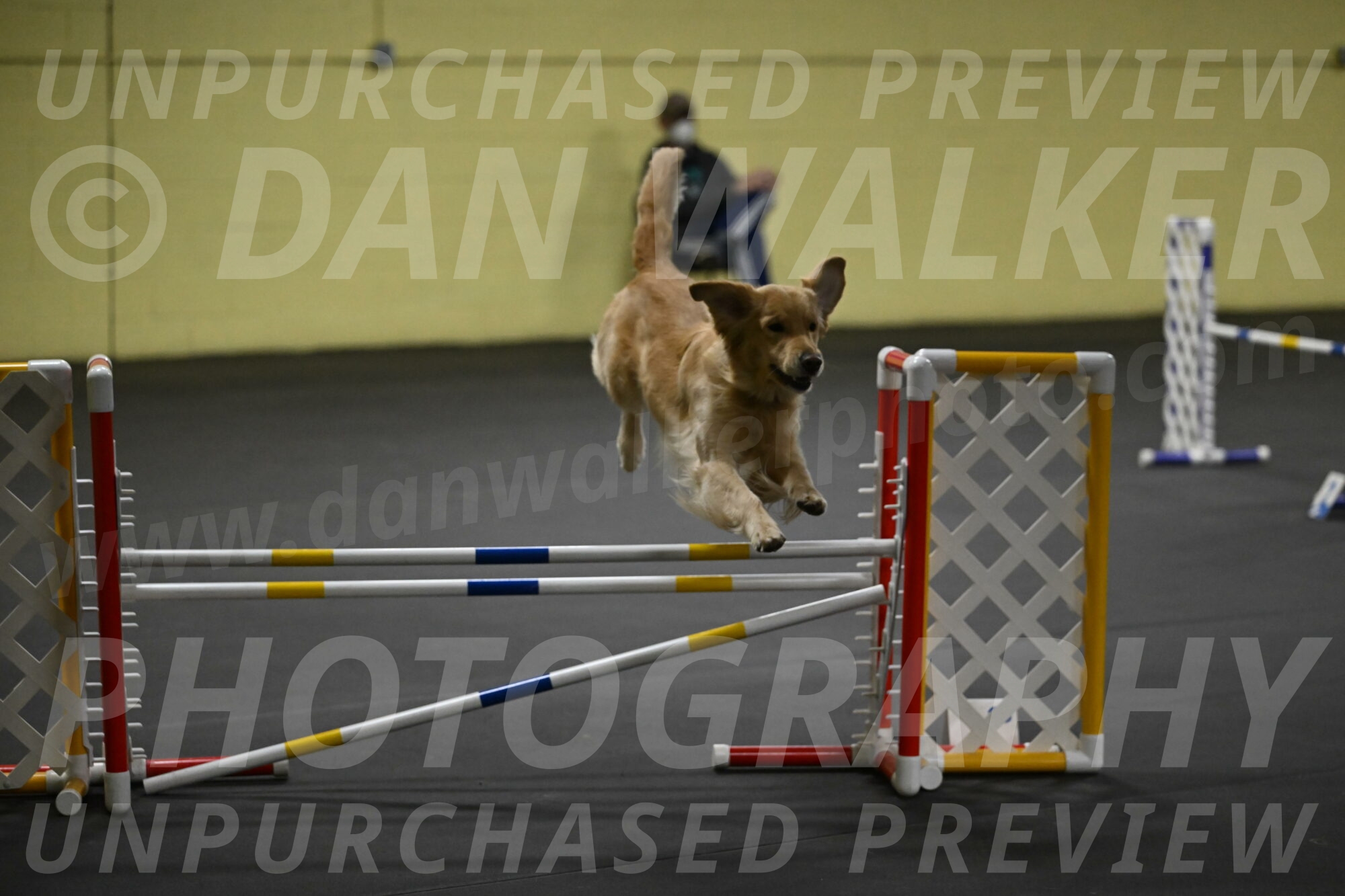 Holli-Likevich-03474