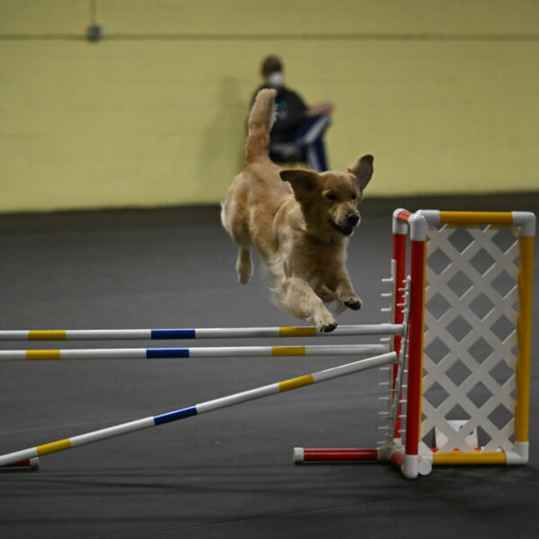 Holli-Likevich-03474