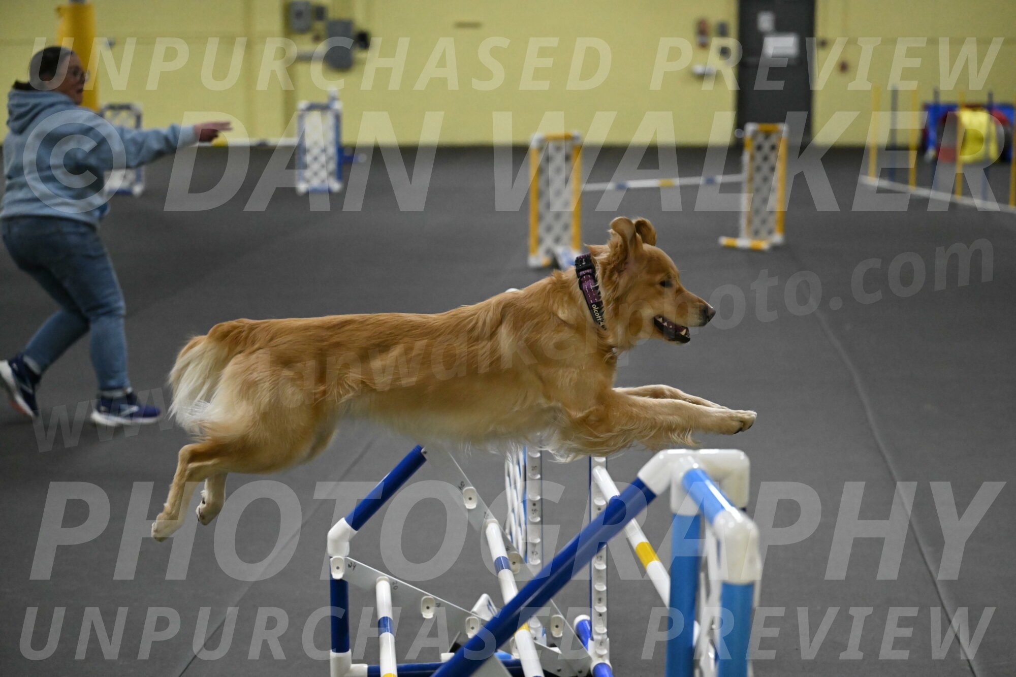 Holli-Likevich-03486