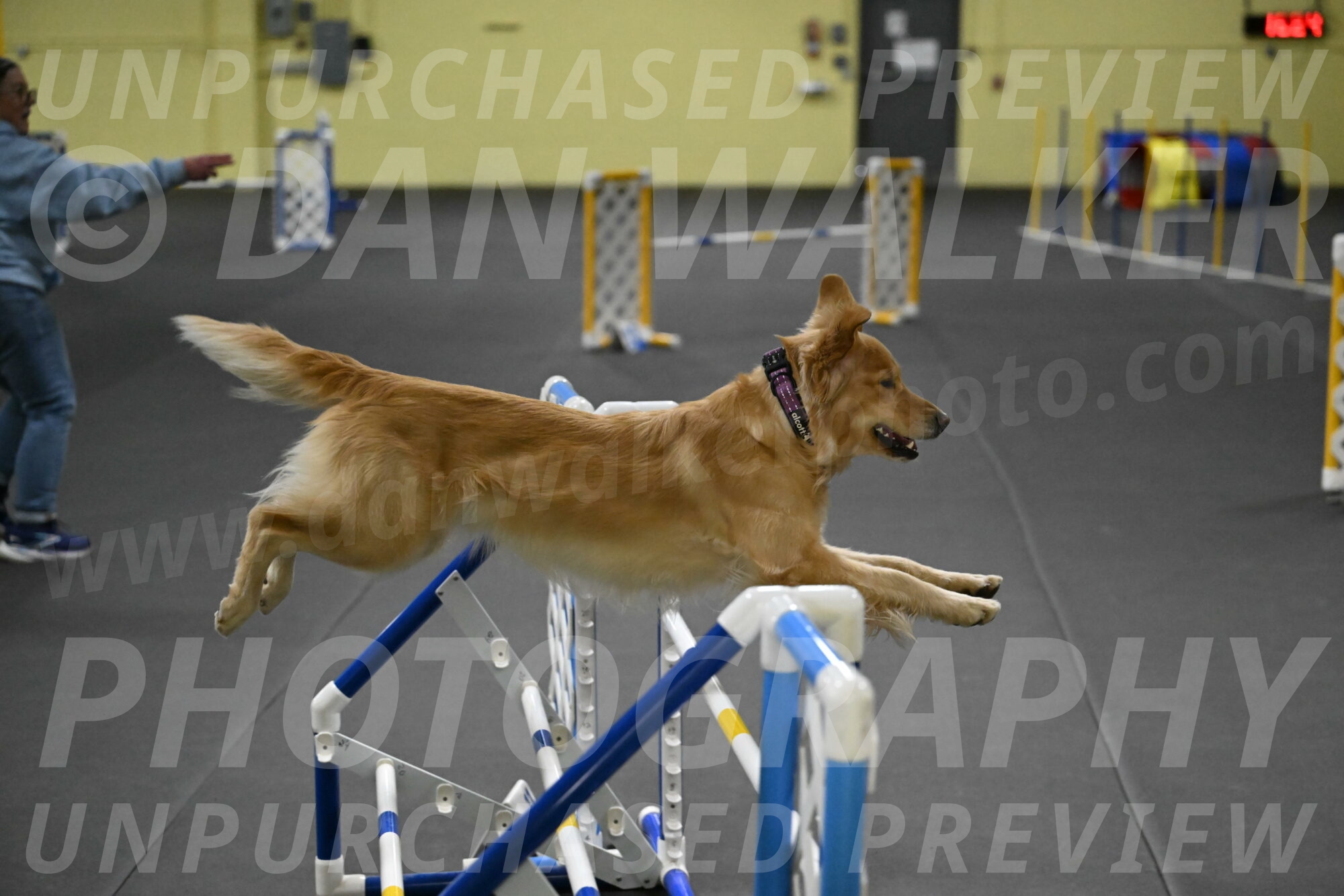 Holli-Likevich-03487