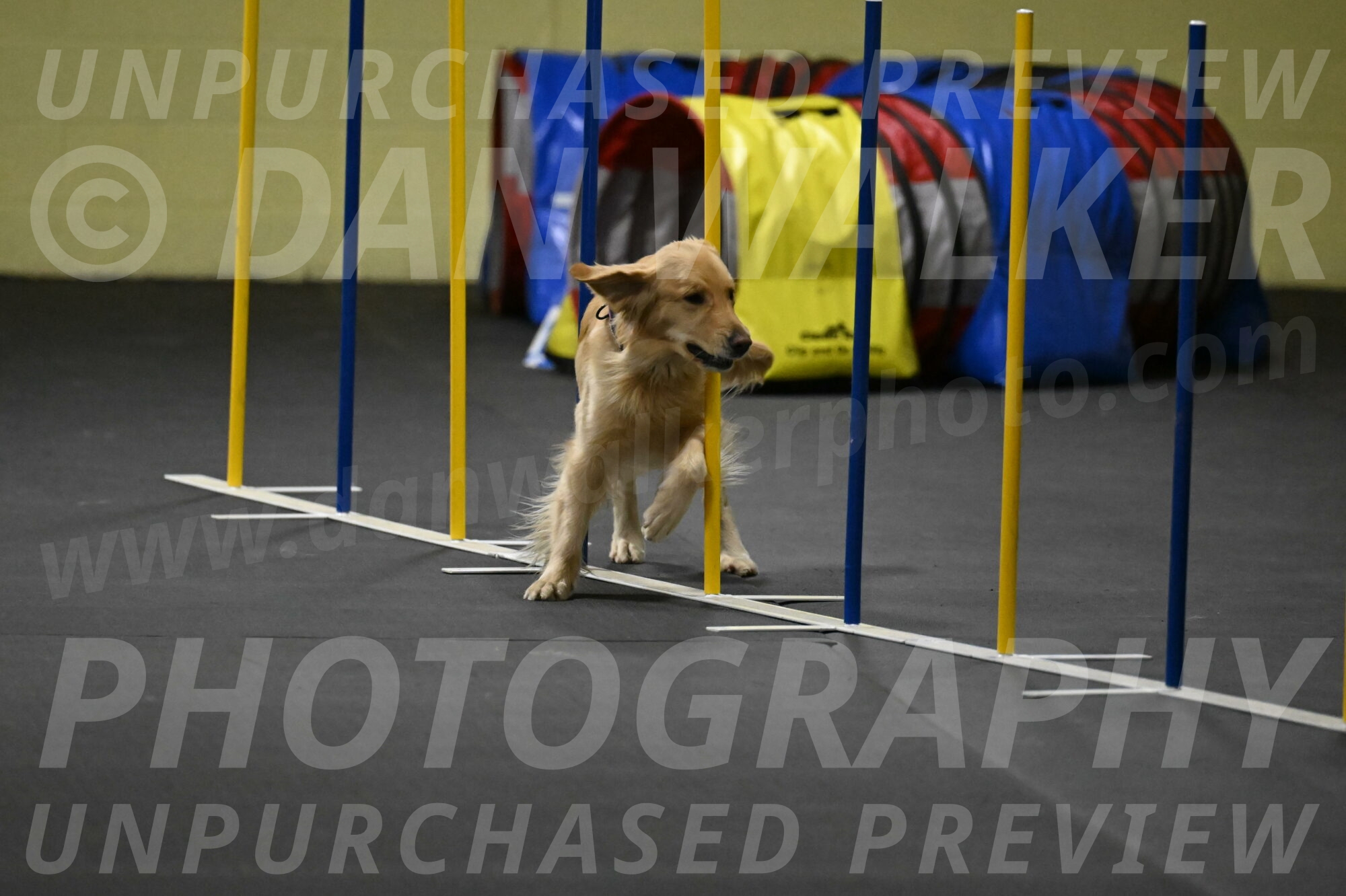 Holli-Likevich-03500