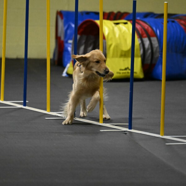 Holli-Likevich-03500