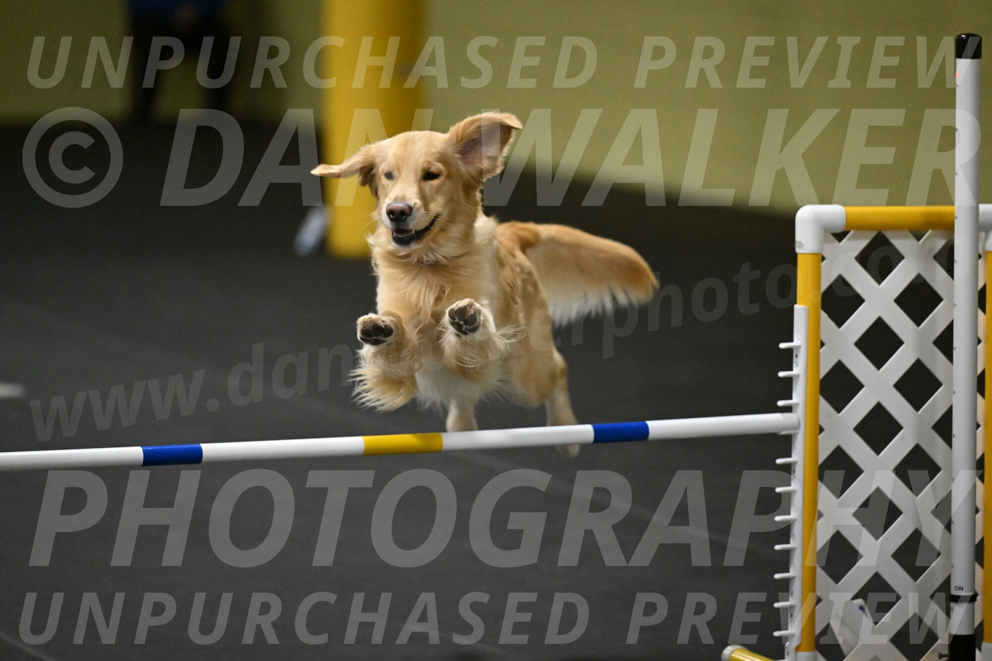 Holli-Likevich-03526