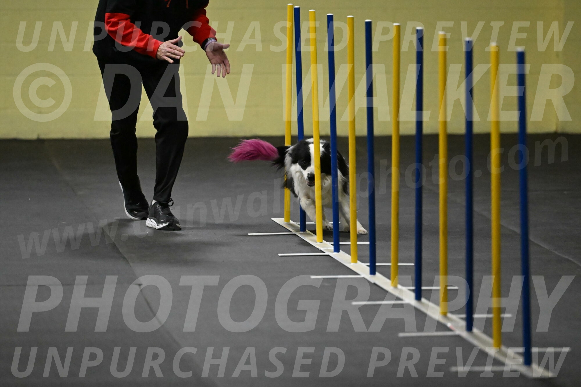 Hoopla-Solinger-02100