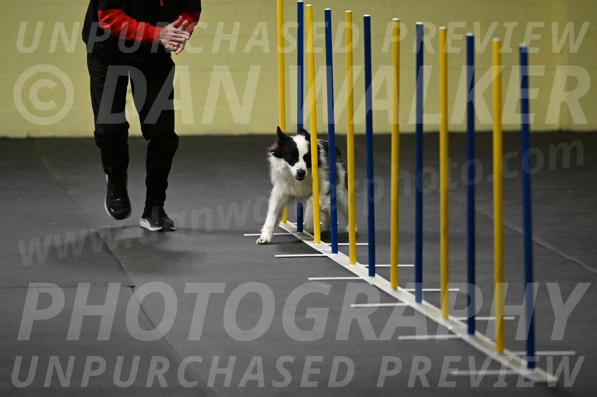 Hoopla-Solinger-02101