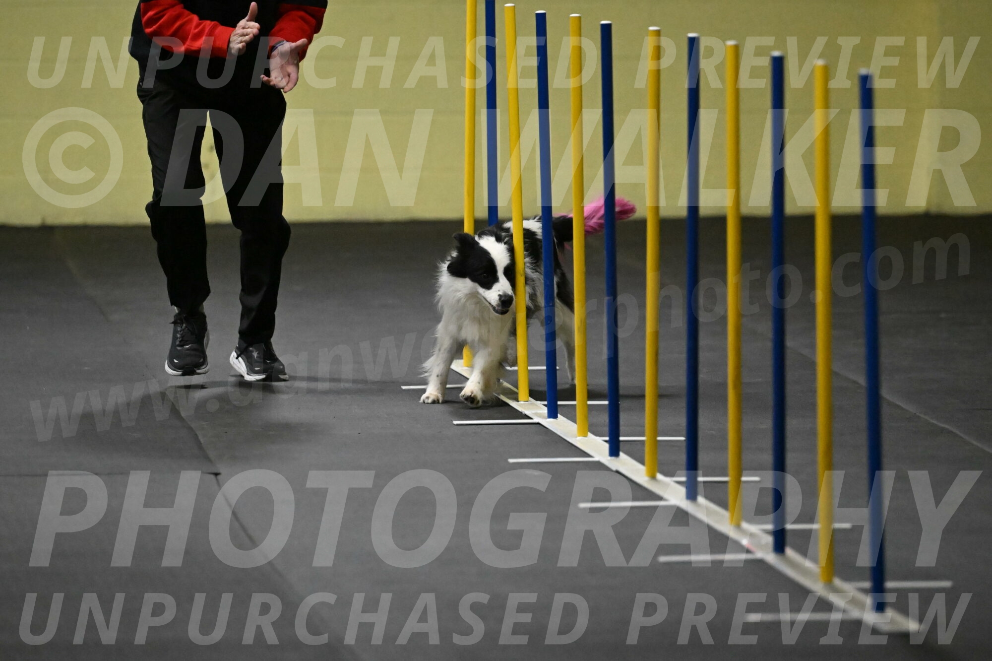 Hoopla-Solinger-02102