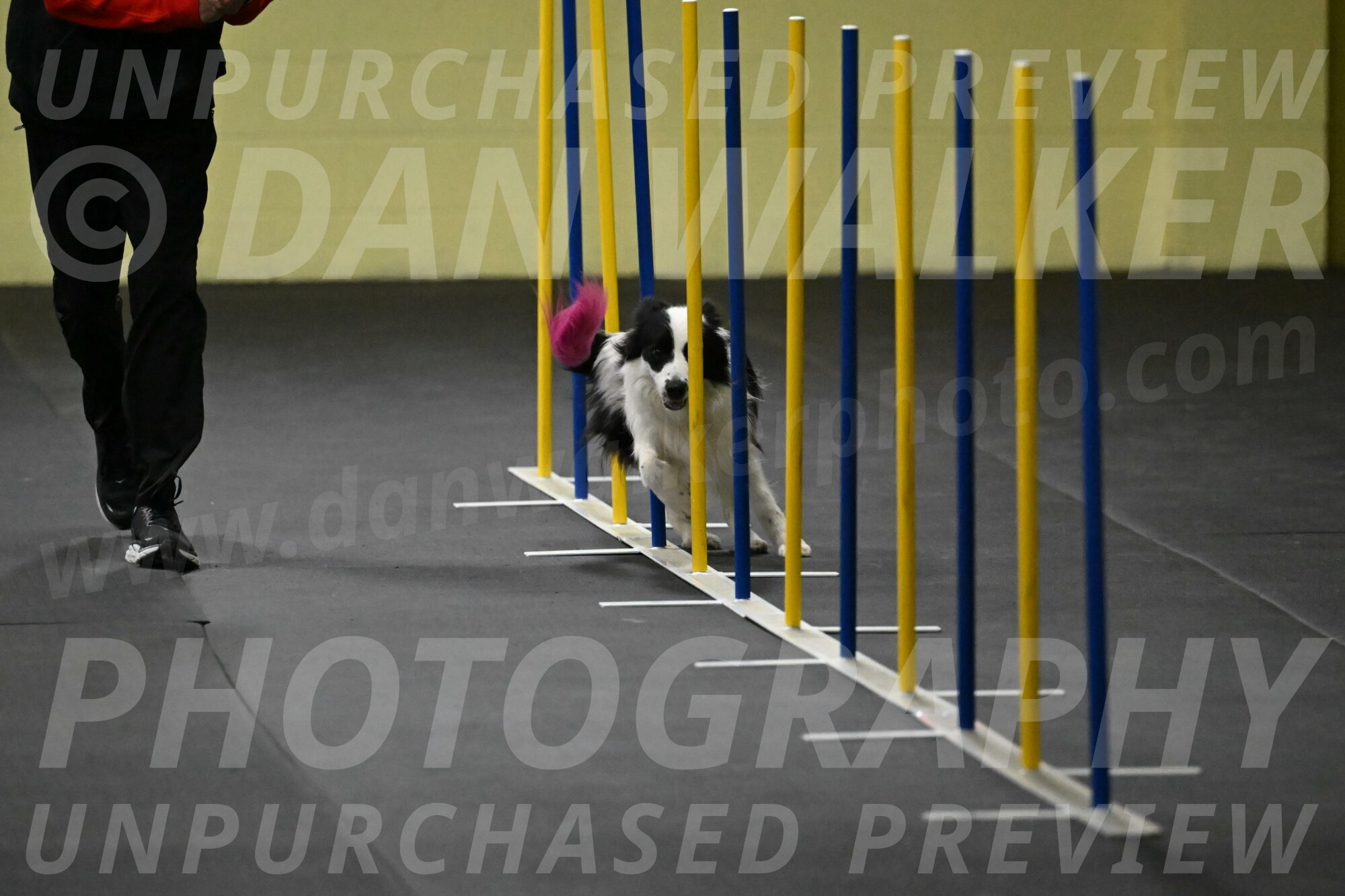 Hoopla-Solinger-02108