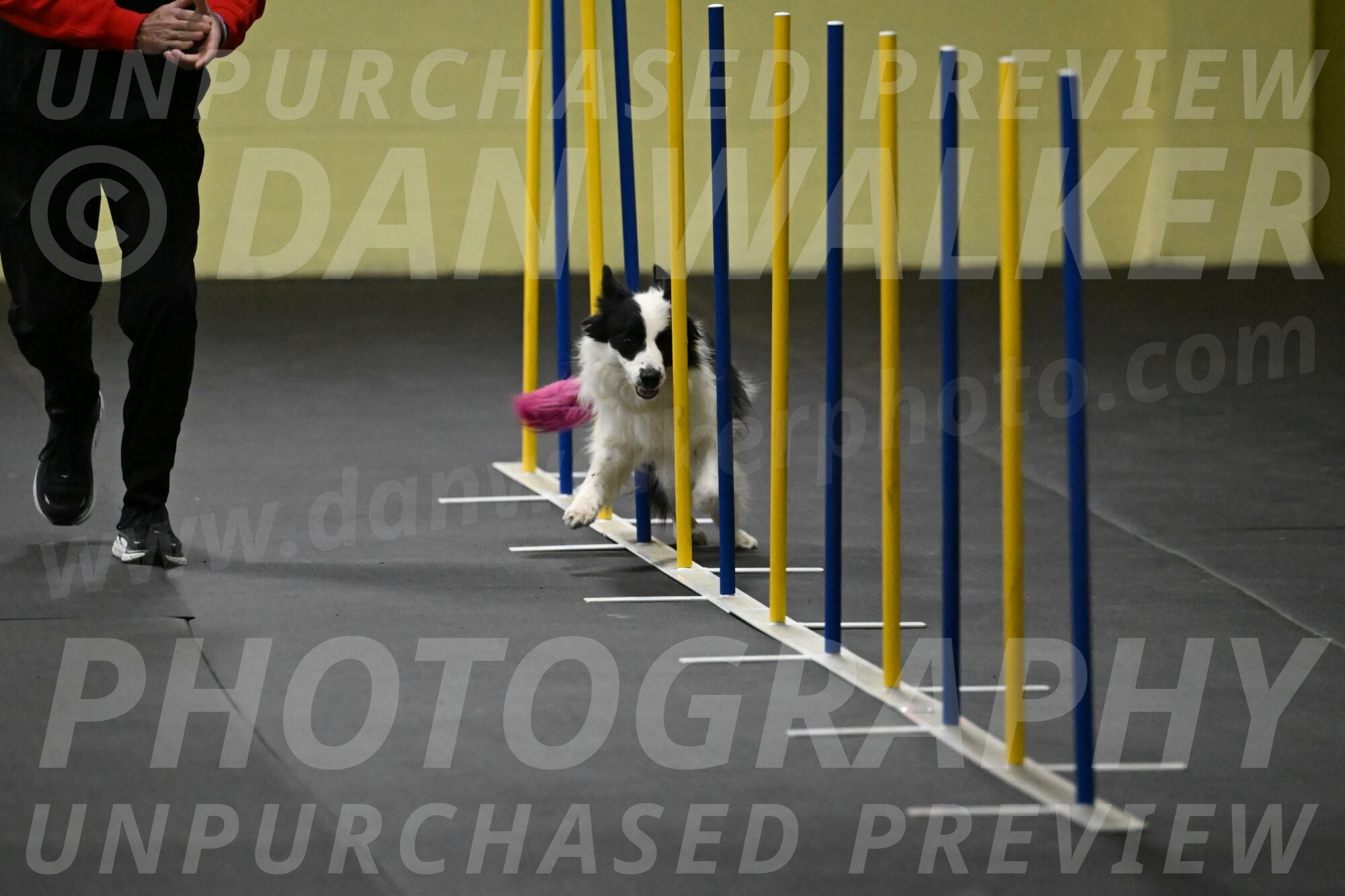 Hoopla-Solinger-02109