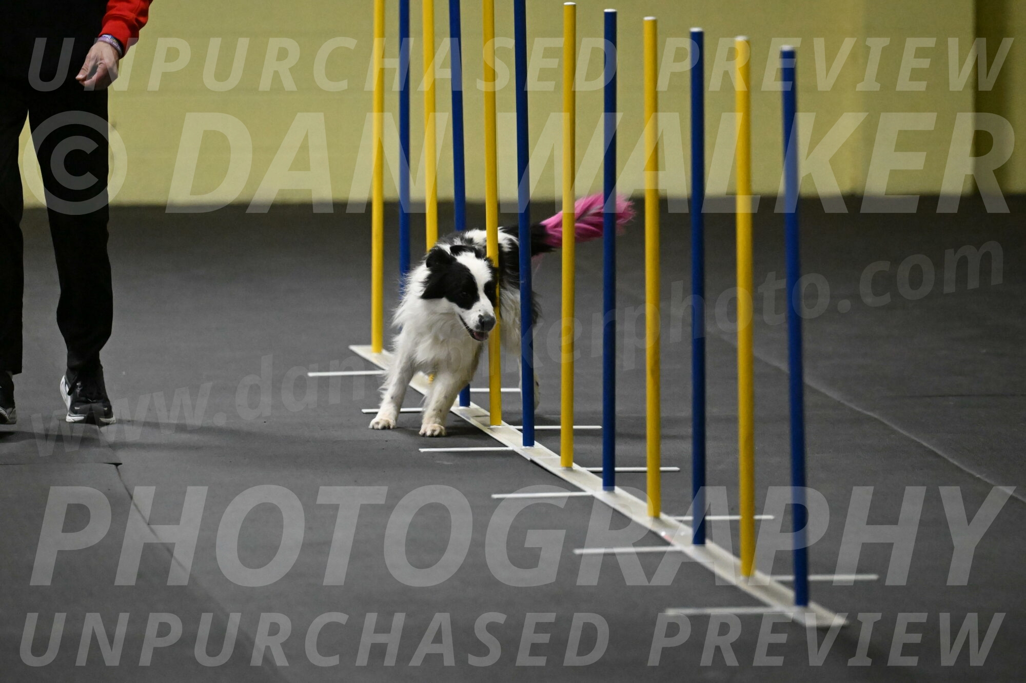 Hoopla-Solinger-02110