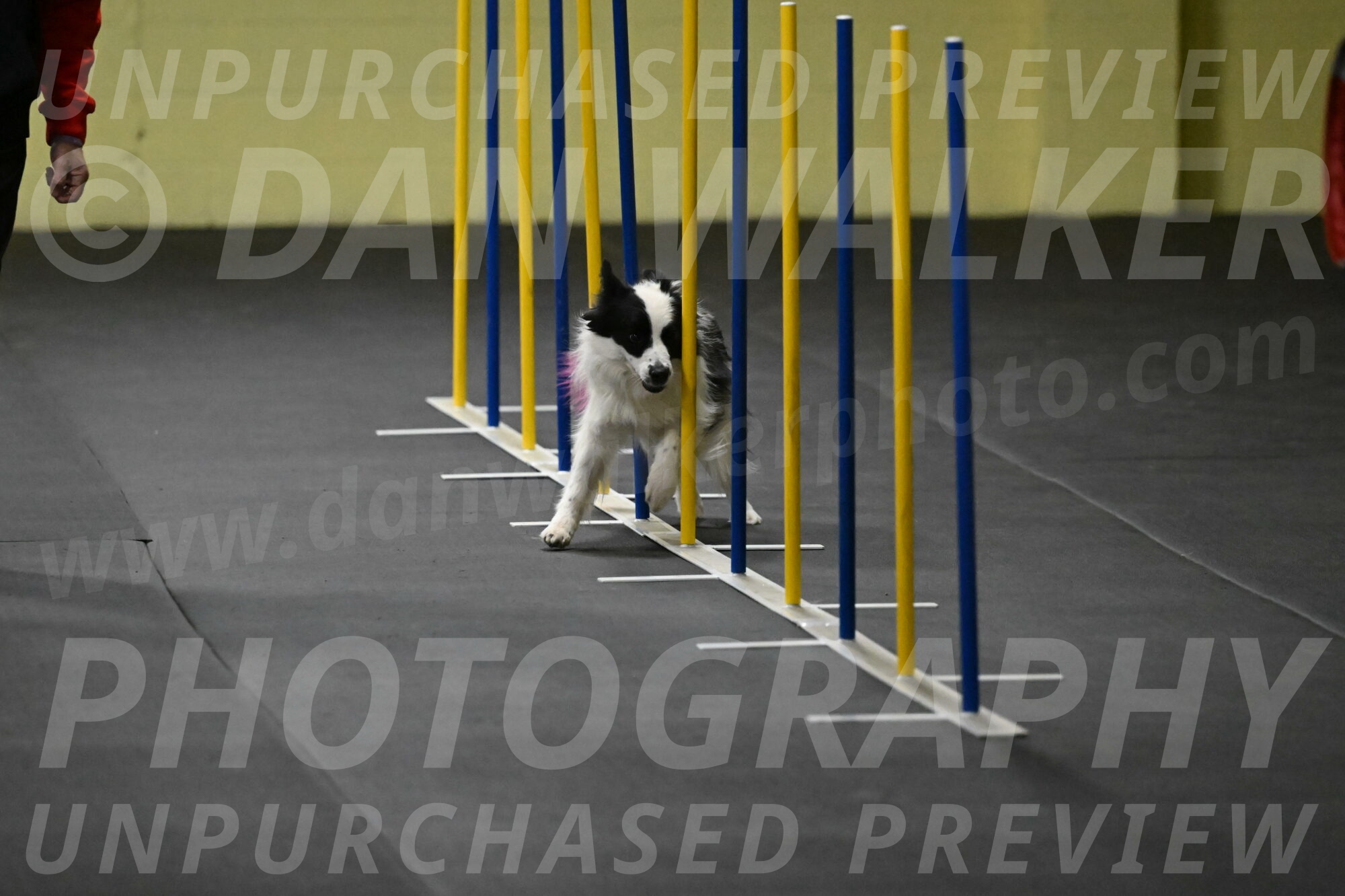 Hoopla-Solinger-02116