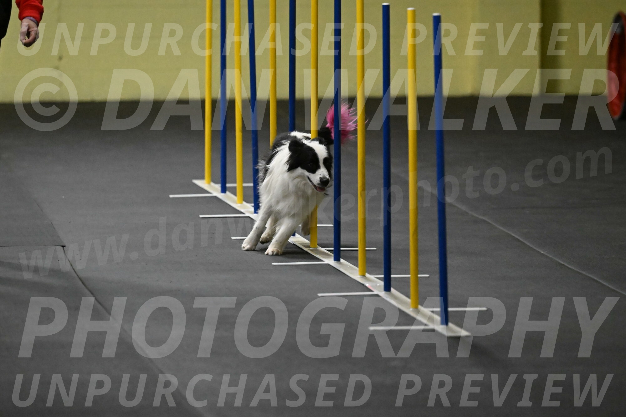 Hoopla-Solinger-02118