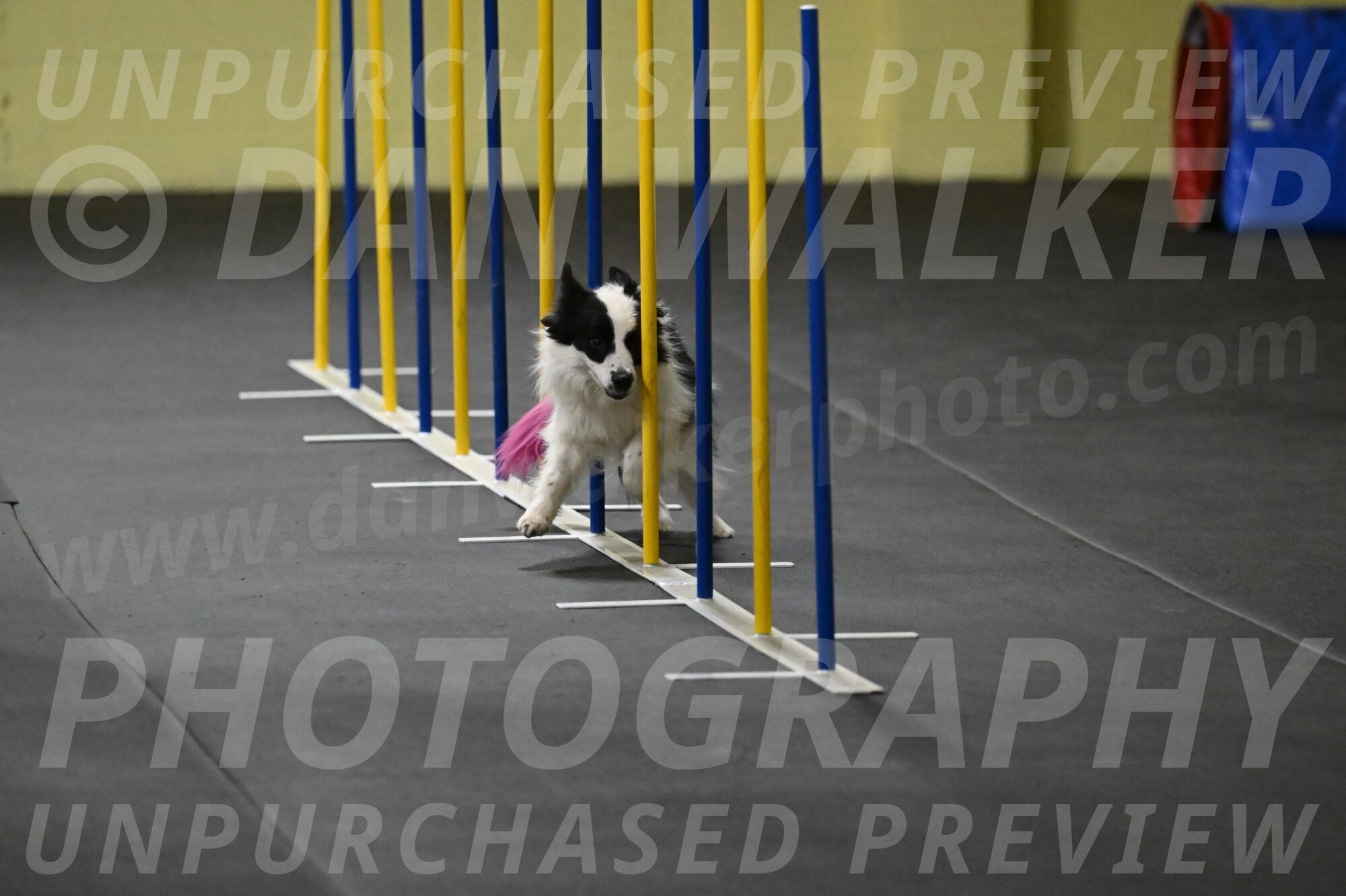 Hoopla-Solinger-02124