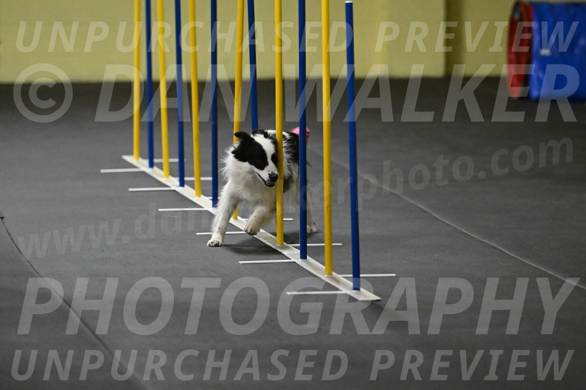 Hoopla-Solinger-02125