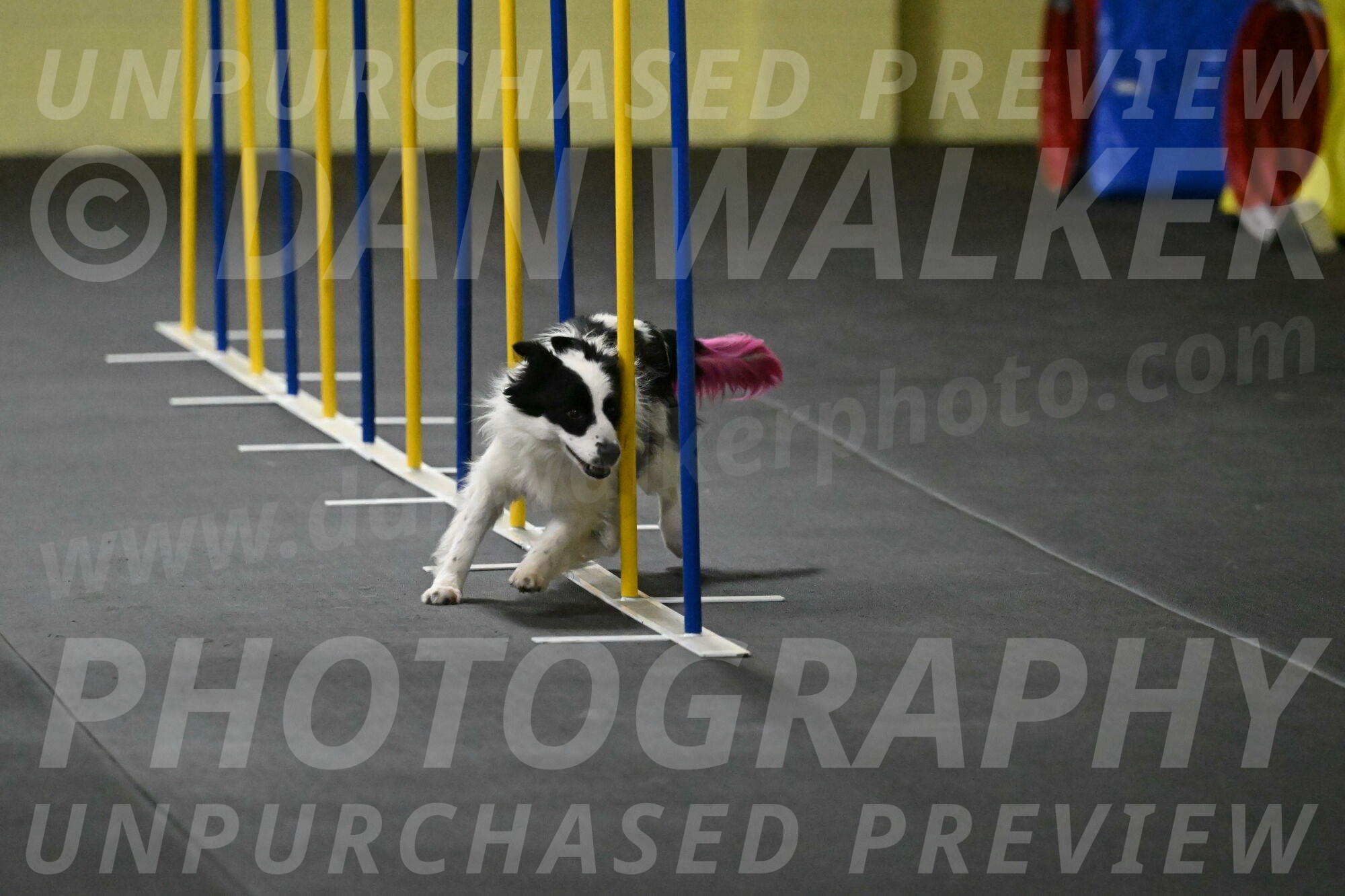 Hoopla-Solinger-02131