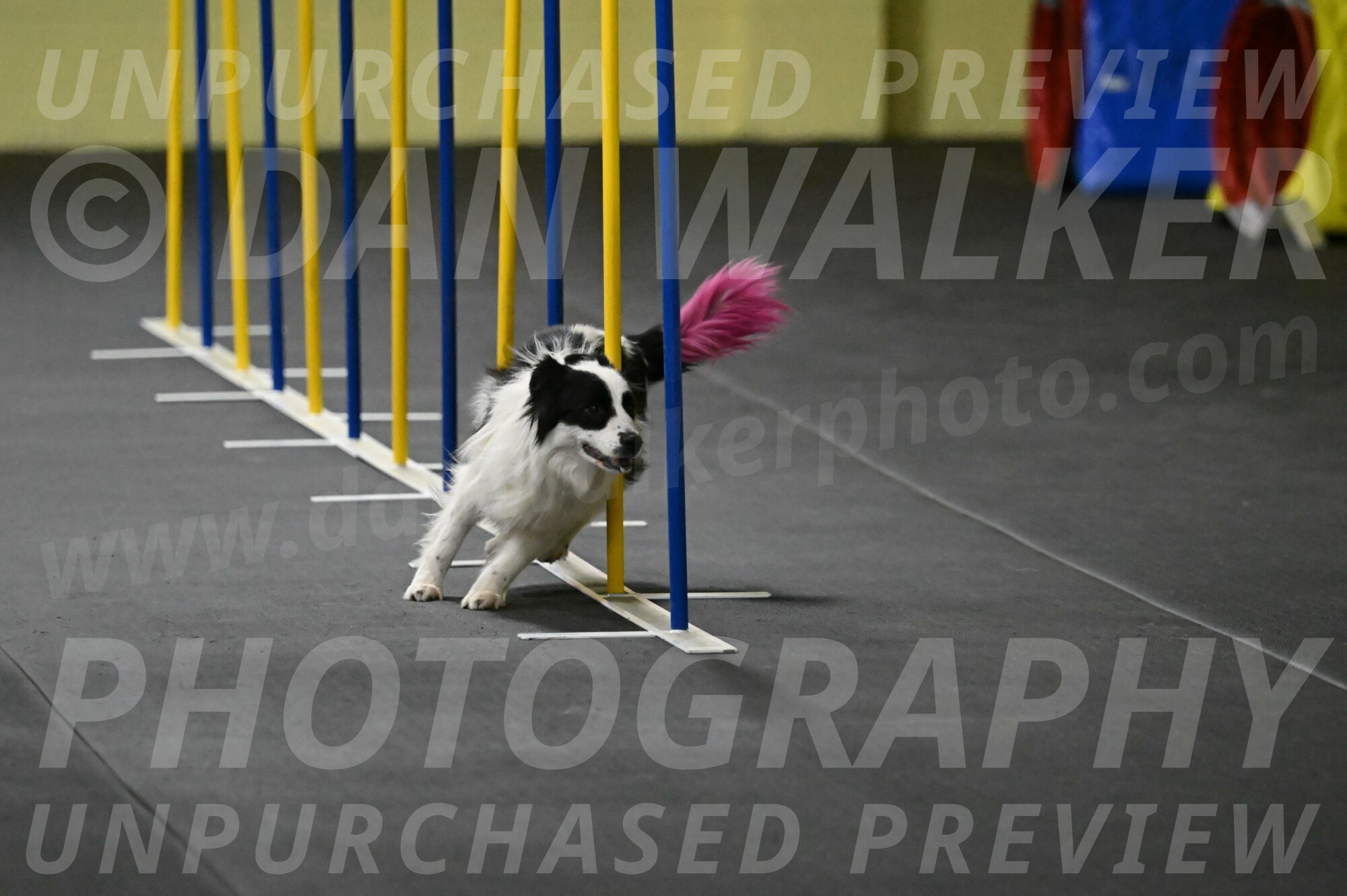 Hoopla-Solinger-02132