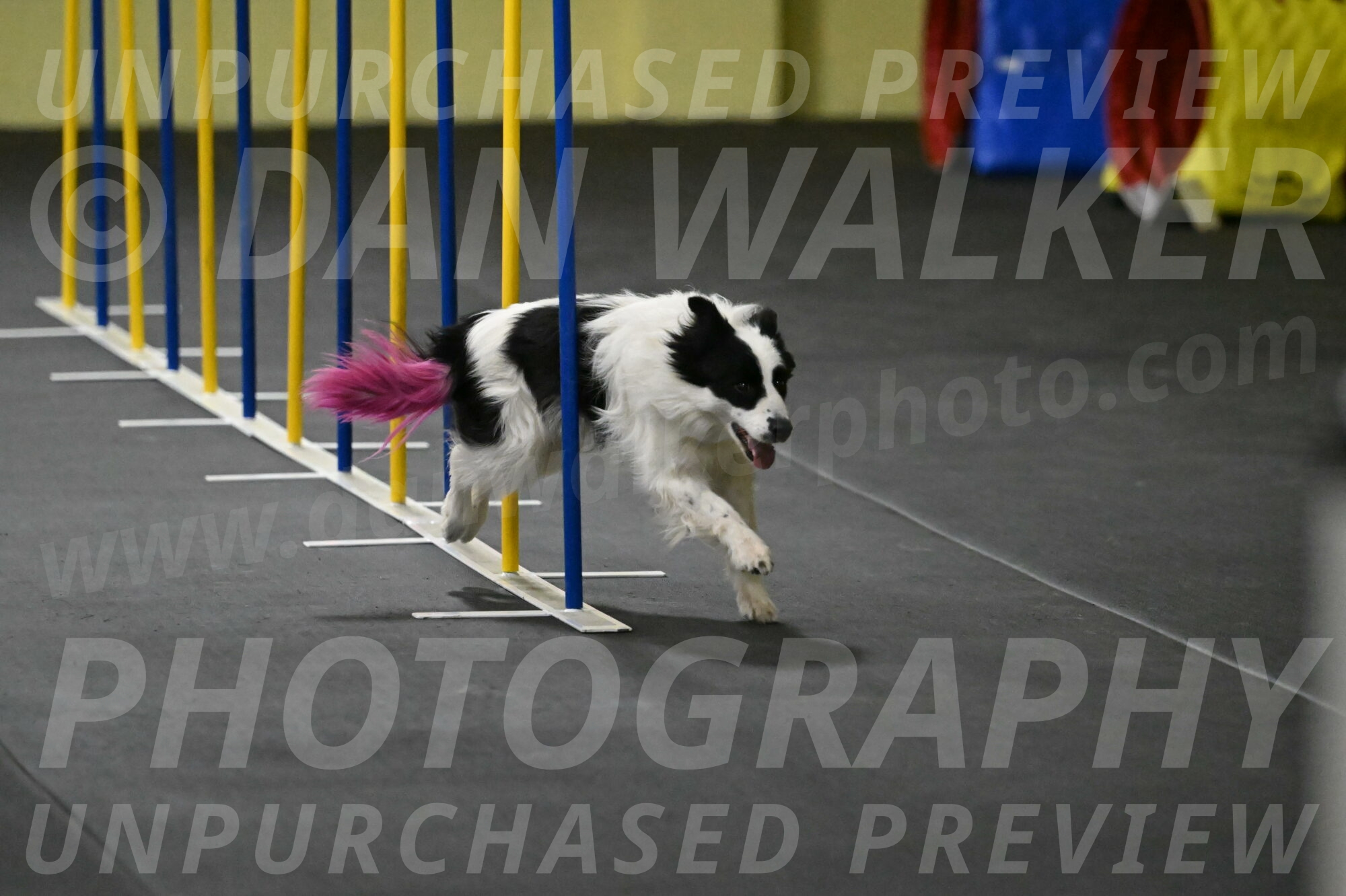 Hoopla-Solinger-02135