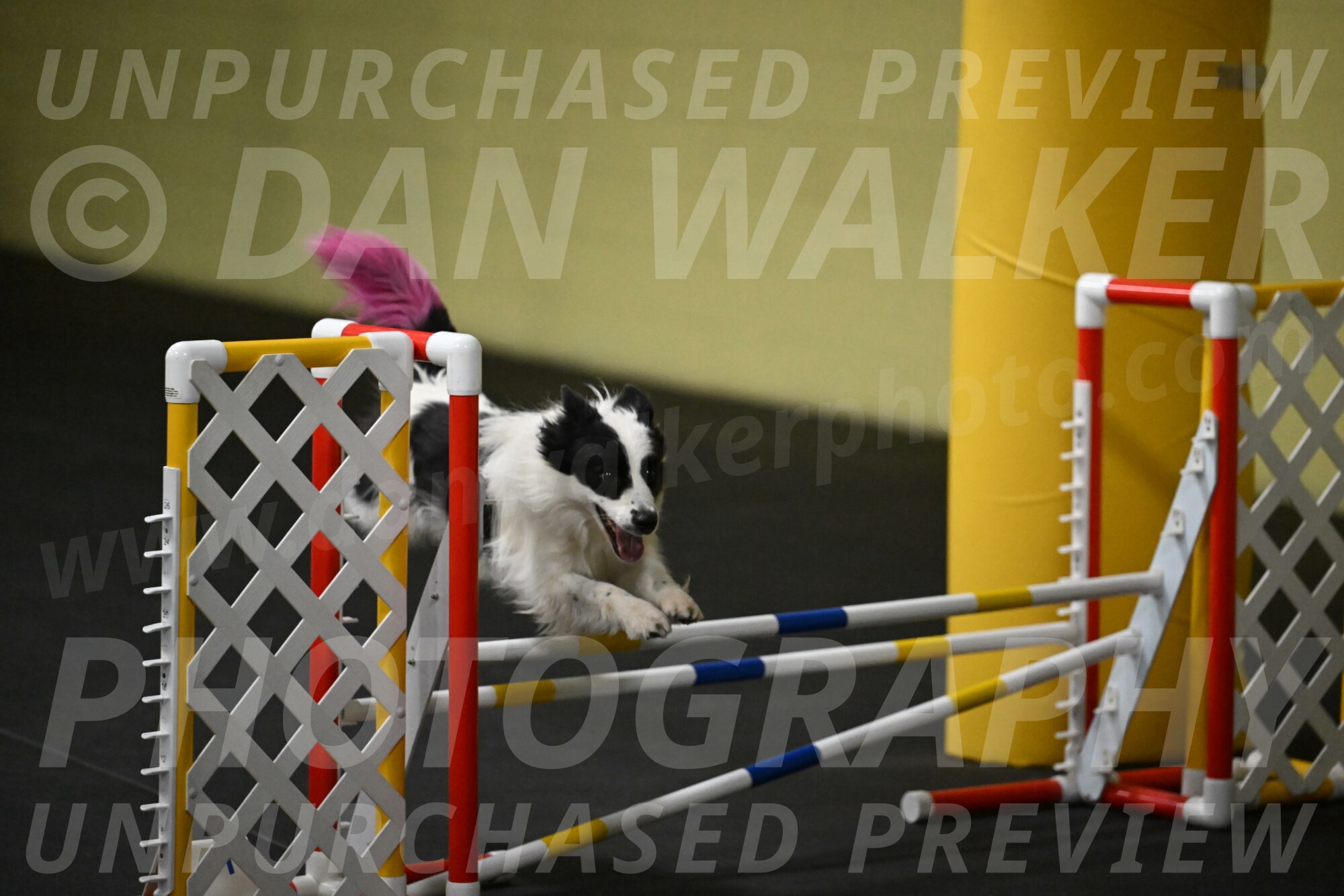 Hoopla-Solinger-02140