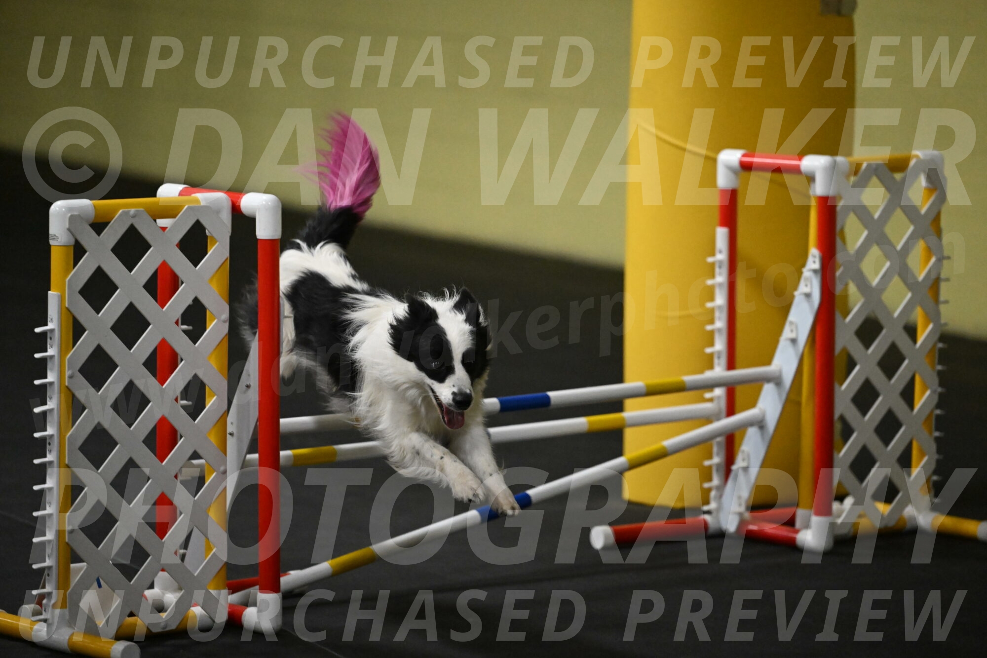 Hoopla-Solinger-02141